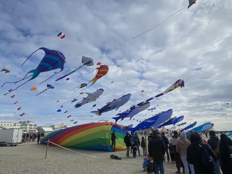 kites at 2024 Rencontres internationales de cerfs-volants de Berck